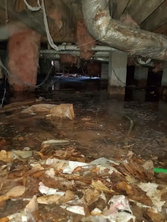 Crawl space flood assessment for Leak Detection & Repair in Mitchellville